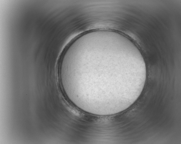 X0000063481078200602031919