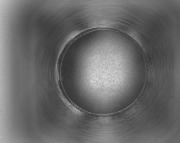 X0000063481080200602031919