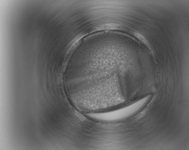 X0000063481081200602031919