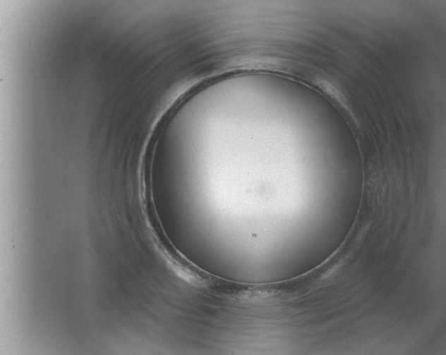 X0000063481082200602031919