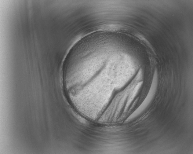 X0000063481083200602031919