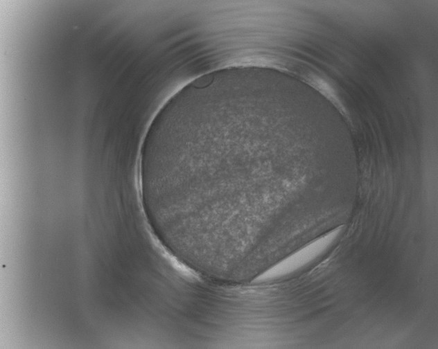 X0000063481084200602031919