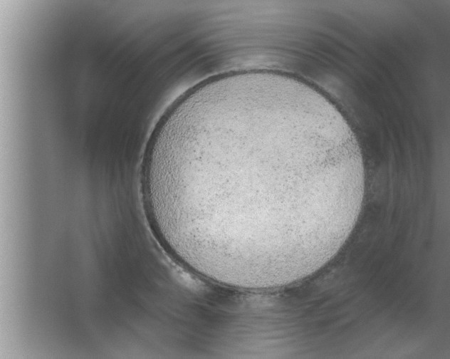 X0000063481086200602031919