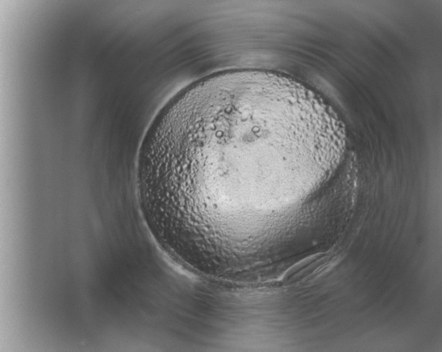 X0000063481087200602031919