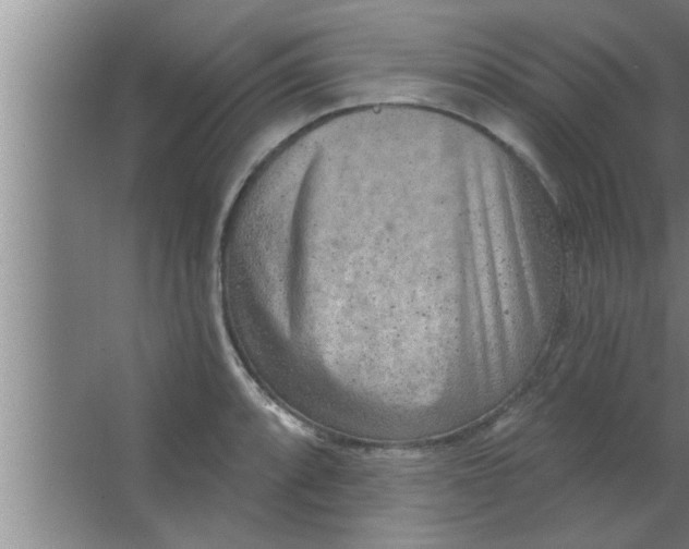 X0000063481088200602031919