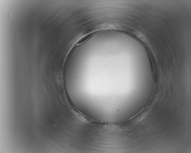 X0000063481089200602031919