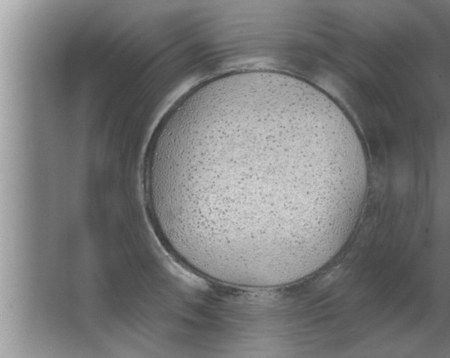 X0000063481090200602031919