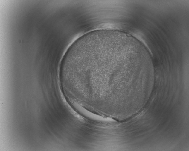 X0000063481091200602031919