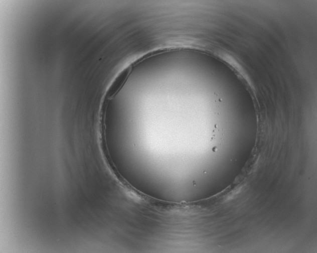 X0000063481093200602031919