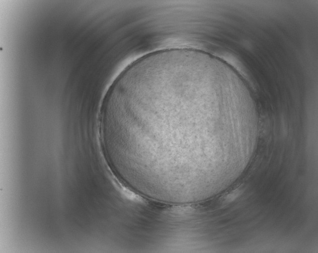 X0000063481094200602031919