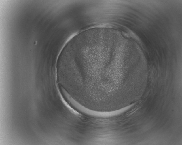 X0000063481095200602031919