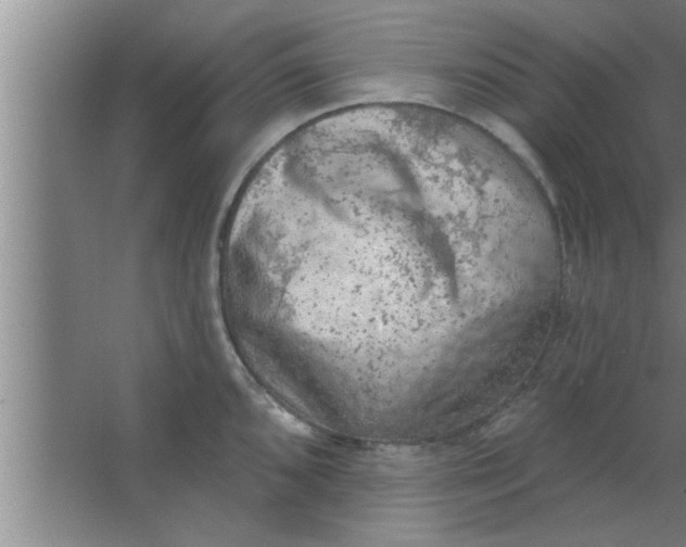 X0000063481096200602031919