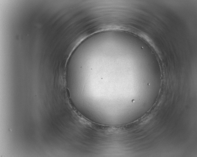 X0000063481097200602031919