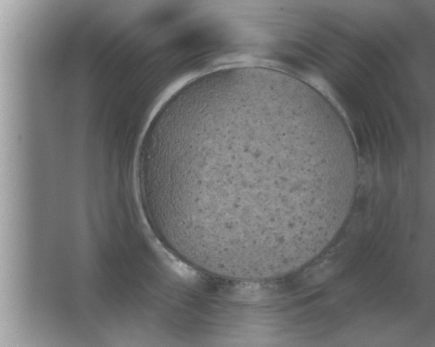 X0000063481098200602031919