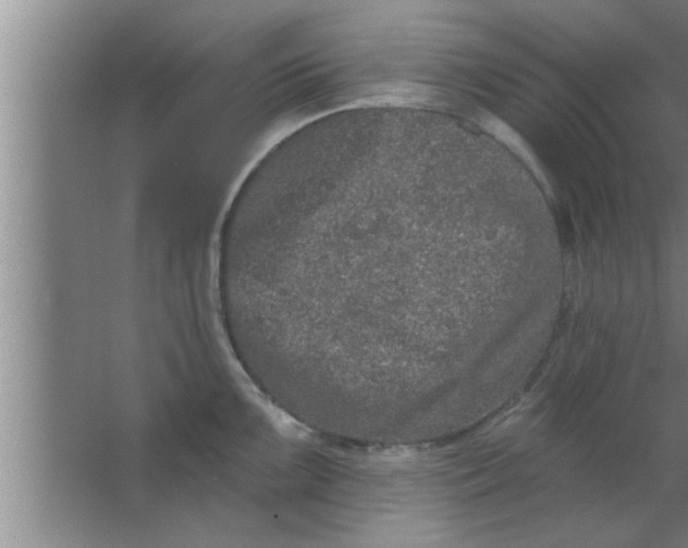 X0000063481099200602031919