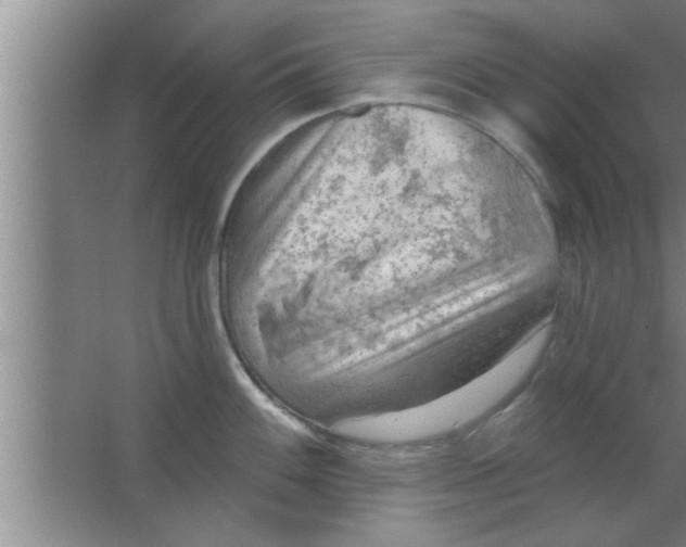 X0000063481100200602031919