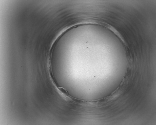 X0000063481101200602031919