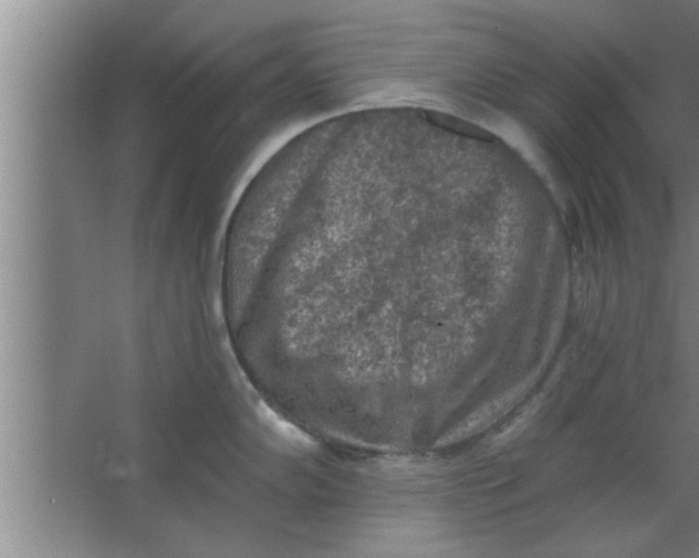 X0000063481102200602031919