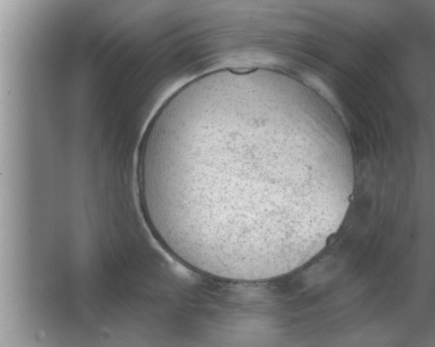 X0000063481103200602031919