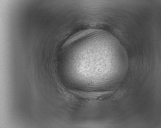 X0000063481105200602031918