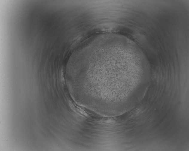 X0000063481106200602031918