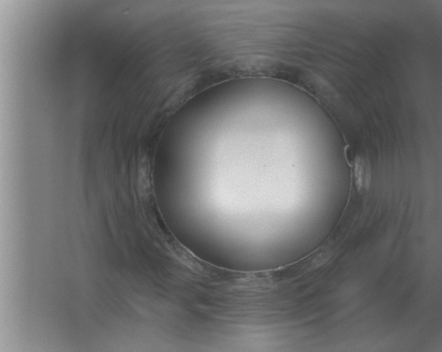 X0000063481107200602031918