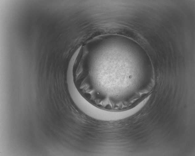 X0000063481108200602031918