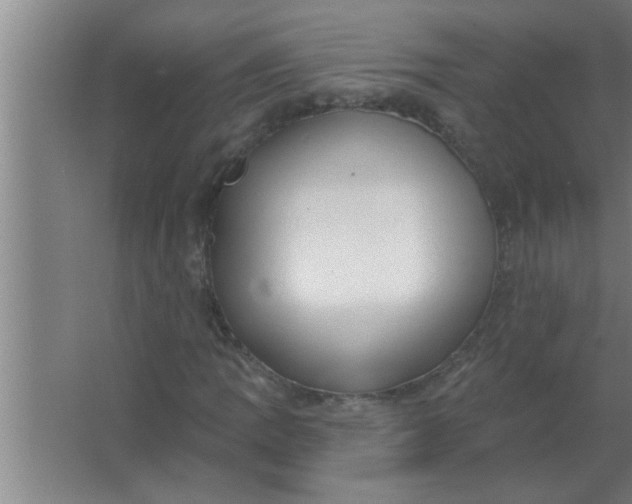 X0000063481109200602031918