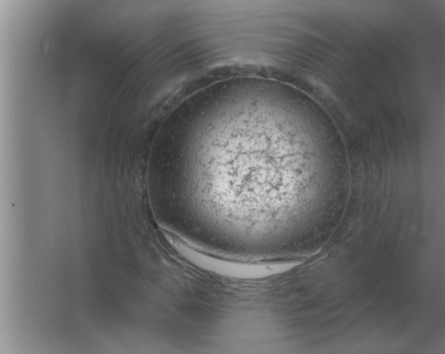 X0000063481110200602031918