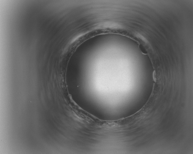 X0000063481112200602031918