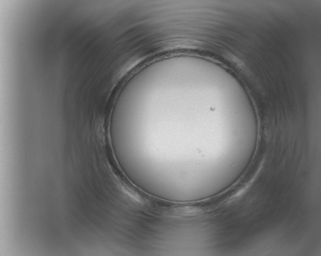 X0000063481113200602031918