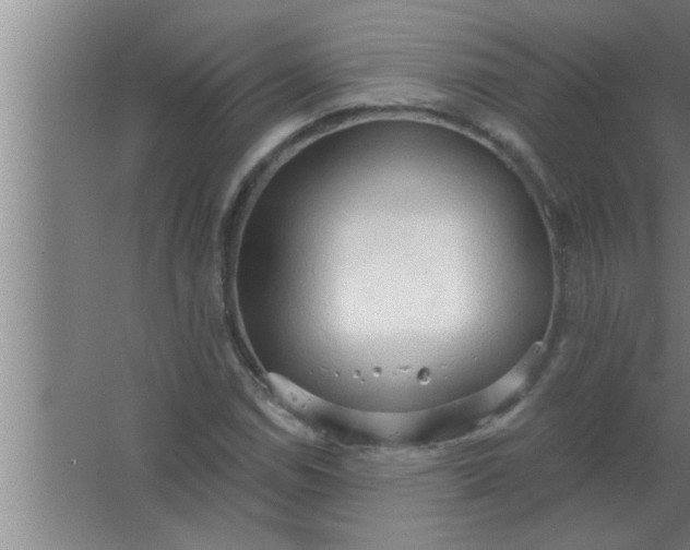 X0000063481114200602031918