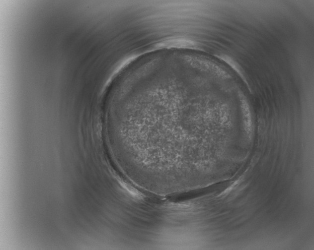 X0000063481115200602031918