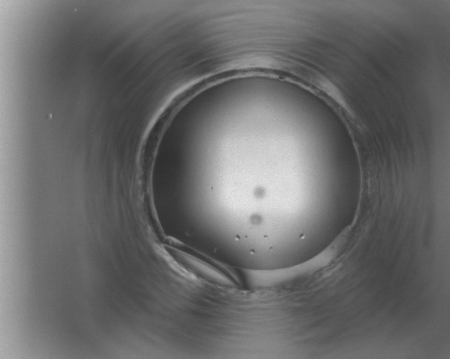 X0000063481116200602031918