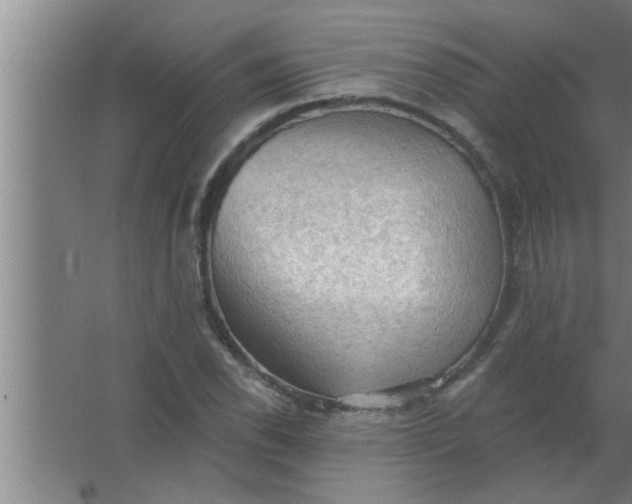 X0000063481118200602031918