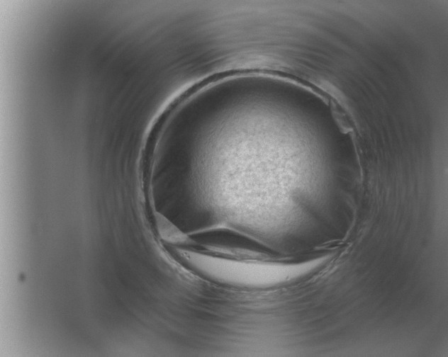 X0000063481120200602031918