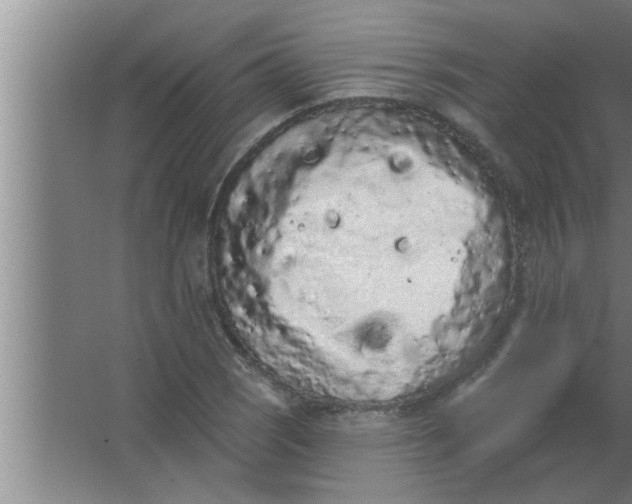 X0000063481121200602031918