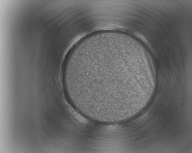 X0000063481122200602031918