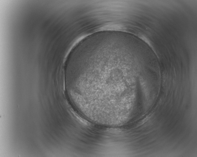 X0000063481123200602031918