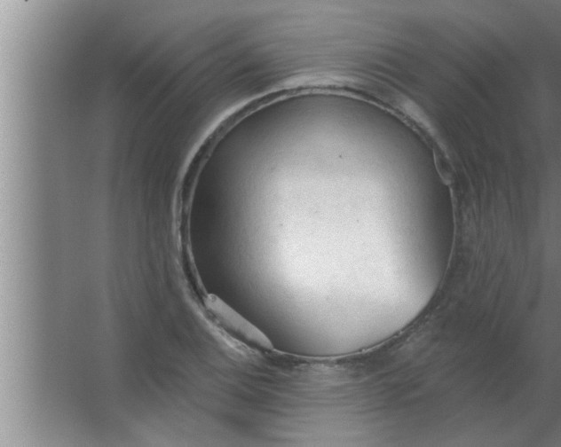 X0000063481124200602031918