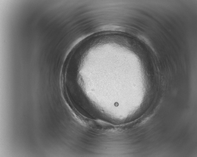 X0000063481125200602031919