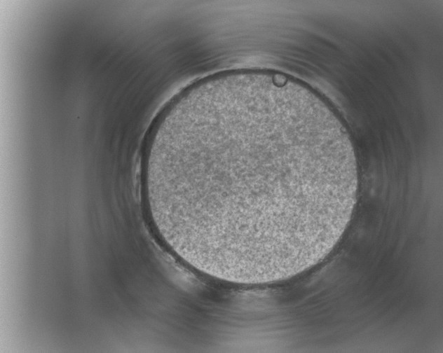 X0000063481126200602031919