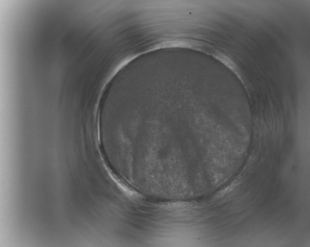 X0000063481127200602031919