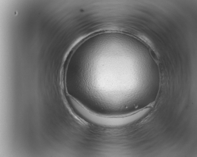 X0000063481128200602031919