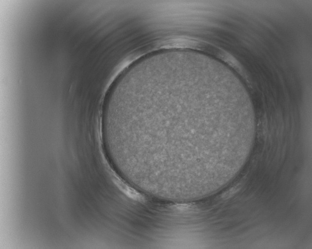 X0000063481130200602031919