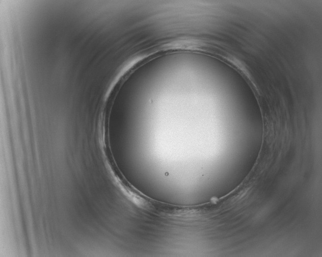 X0000063481131200602031919