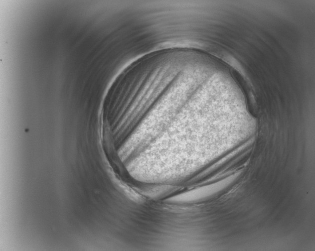 X0000063481132200602031919