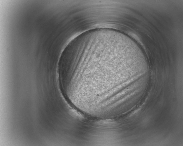 X0000063481133200602031919