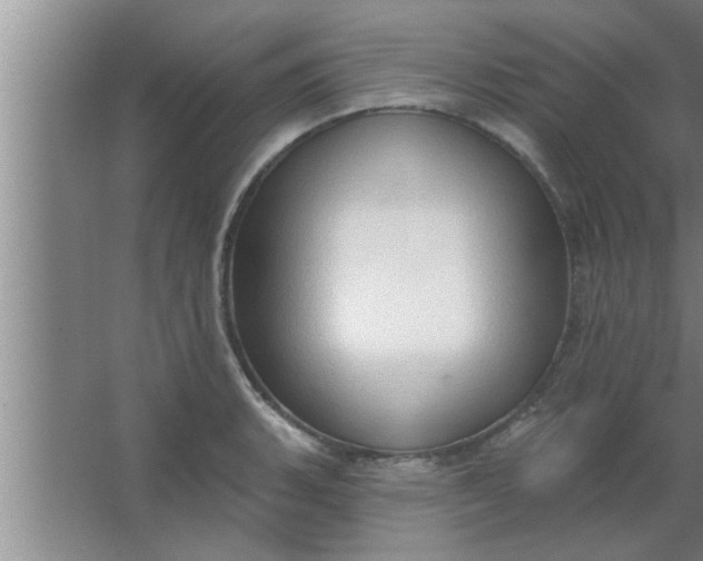 X0000063481135200602031919