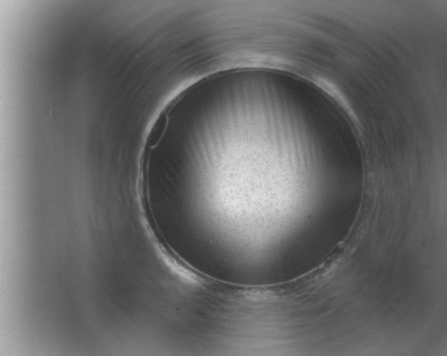 X0000063481136200602031919